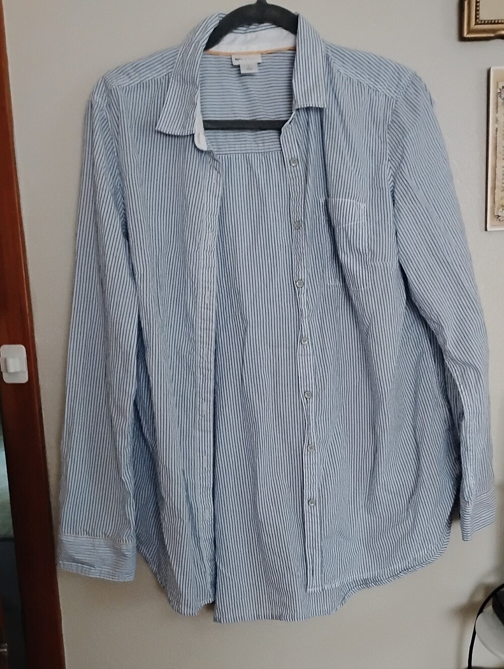 Stylus 100% Cotton Pinstripe Long Sleeve Button-down Top (L)